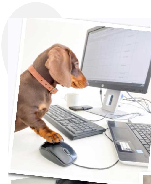 We Are Creating an Innovative User Experience